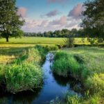 100 Wilde Bäche für Hessen